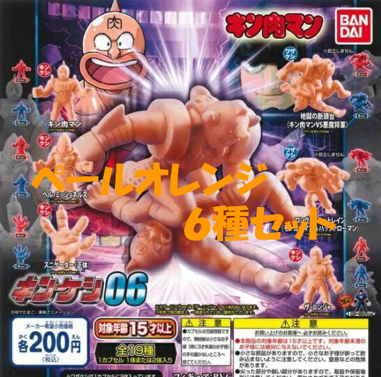 正規品新品キン肉マンキンケシ(02〜20)全23体フルカラーセット キャラクター玩具