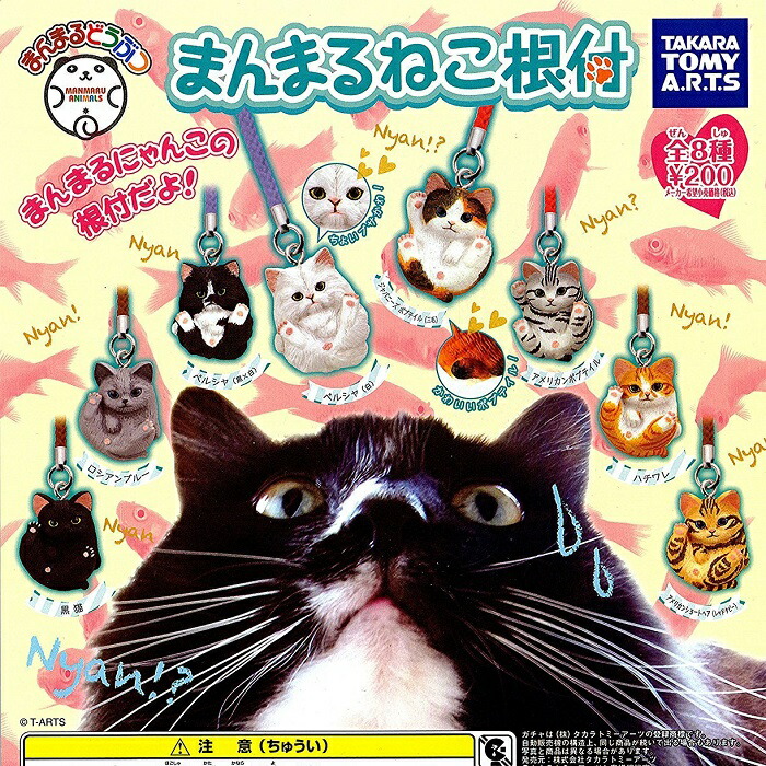 九尾の狐　透け感フラワー　６点セット販売 九尾の狐 透け感フラワー 6点セット販売 九尾の狐 透け