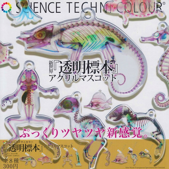 九尾の狐　透け感フラワー　６点セット販売 限定5set】TinyFox 狐狐神〜夢神 フィフレ(Huifre) 1/6スケールMJDド