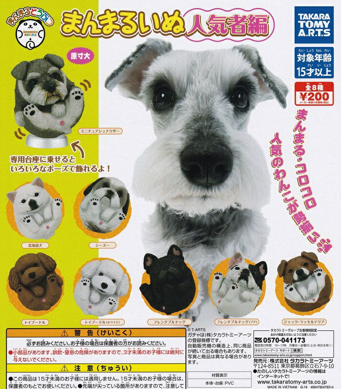 楽天市場】あまえんぼわんこマスコット ぷちどうぶつシリーズ