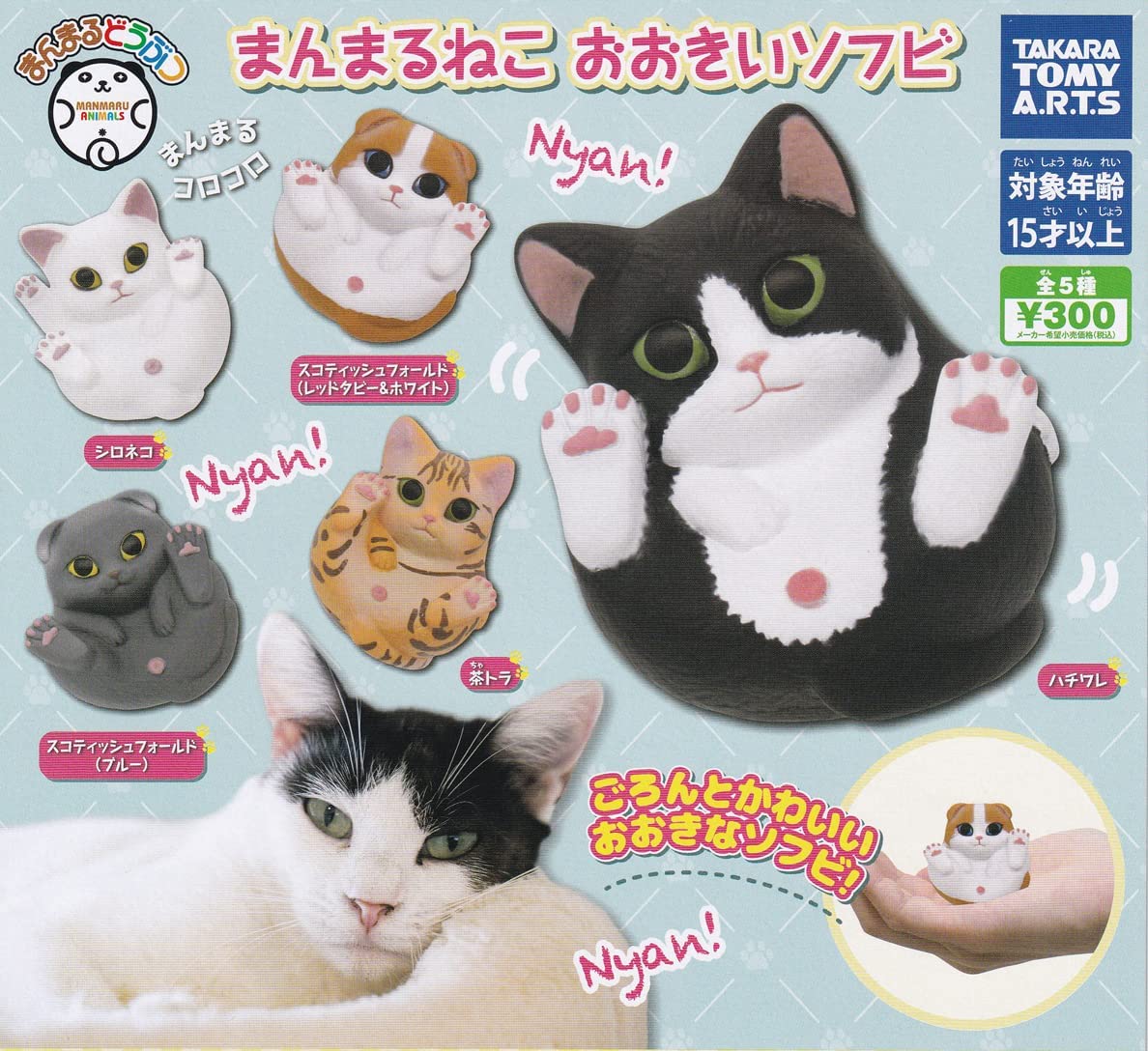 楽天市場】【送料無料!】 ムニュムニュ ドレミファキャット 全8種