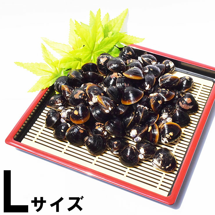 しじみ 冷凍 L 宍道湖産 シジミ 砂抜き済み 1kg 2kg 3kg 送料無料 シジミ汁 しじみ汁 味噌汁 お吸い物 具 大和しじみ 国産 天然 健康 二日酔い 貝 漁師直送 新鮮 島根県 出雲 しじみ庵 6,293円
