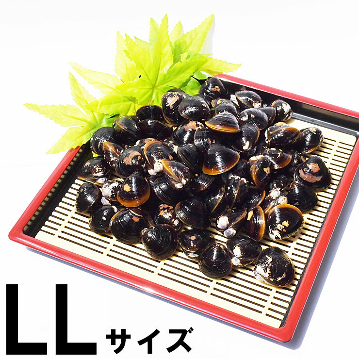しじみ 冷凍 LL 宍道湖産 シジミ 砂抜き済み 1kg 2kg 3kg 送料無料 シジミ汁 しじみ汁 味噌汁 お吸い物 具 大和しじみ 国産 天然 健康 二日酔い 貝 漁師直送 新鮮 島根県 出雲 しじみ庵