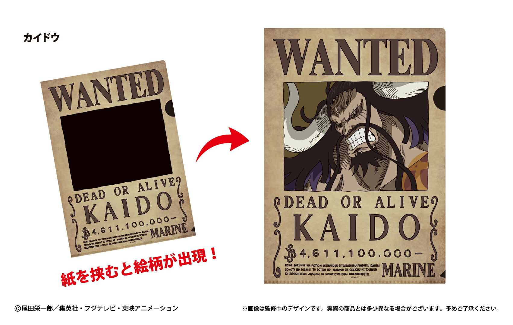 楽天市場】日本限定公式商品 ONE DIRECTION ワンダイレクション (結成