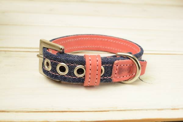 インディゴ ジーンズチョーカー M号数 秘密捜査員 首輪 中型犬 デニム インディゴ 犬働き 本覆い 革 小意気 愛しい すてき 名まえ滑出し 迷子レーベル 犬の首輪 犬用首輪 女の子 男の子 甲殻 レザー 柴犬 豆柴 コーギー フレンチ ブルドッグ ビーグル パグ ボストンテリア