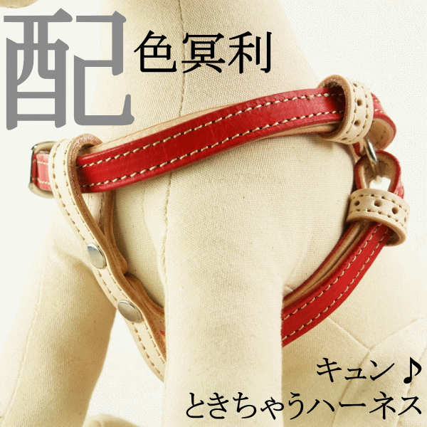 キュンときちゃう 可愛い 全品ポイント5倍 犬用ハーネス ハーネス シンプルで上品 なのにめちゃくちゃ可愛い 極上のイタリアンレザーを贅沢に味わえる ハーネス ハーネス 犬用品 猫 超小型犬 胴輪 小型犬 犬 犬ハーネス 犬用ハーネス 本革 革 皮 レザー 犬胴輪