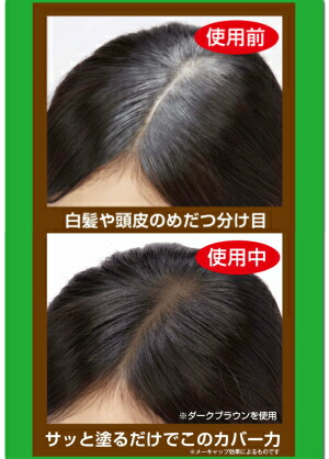 Chiafuru Market Mn Which Doubles ボタニカルファンデーション