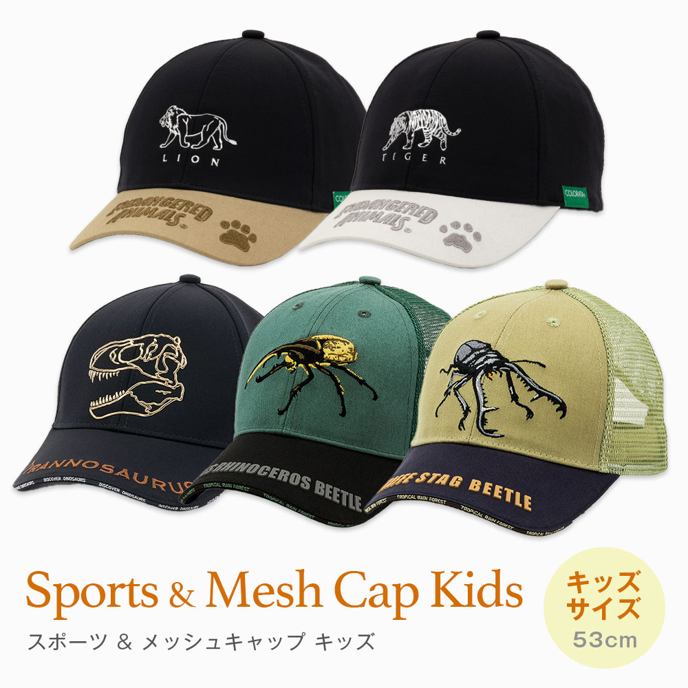 キッズキャップ（53cm）全5種 | 子供 子ども キッズサイズ スポーツ メッシュ 男の子 女の子 春夏秋冬 軽量 サイズ調整可能 ヘラクレスオオカブト ギラファノコギリクワガタ ライオン トラ ティラノサウルス 生物 刺繍 メタリック画像