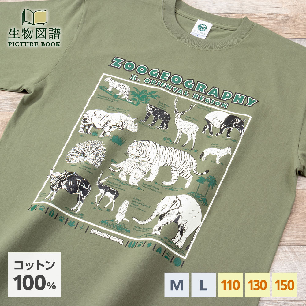 楽天市場】生物図譜Tシャツ 深海の世界 ネイビー | 半袖 イラスト