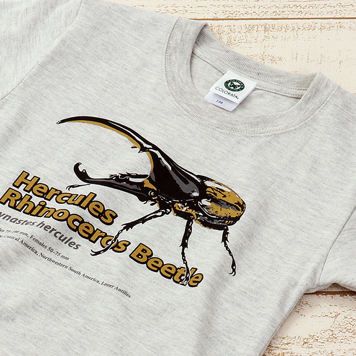 子供 キッズ 昆虫 Tシャツ ヘラクレスオオカブト ライトグレー 子供サイズ 半袖 ミュージアムデザイン画像