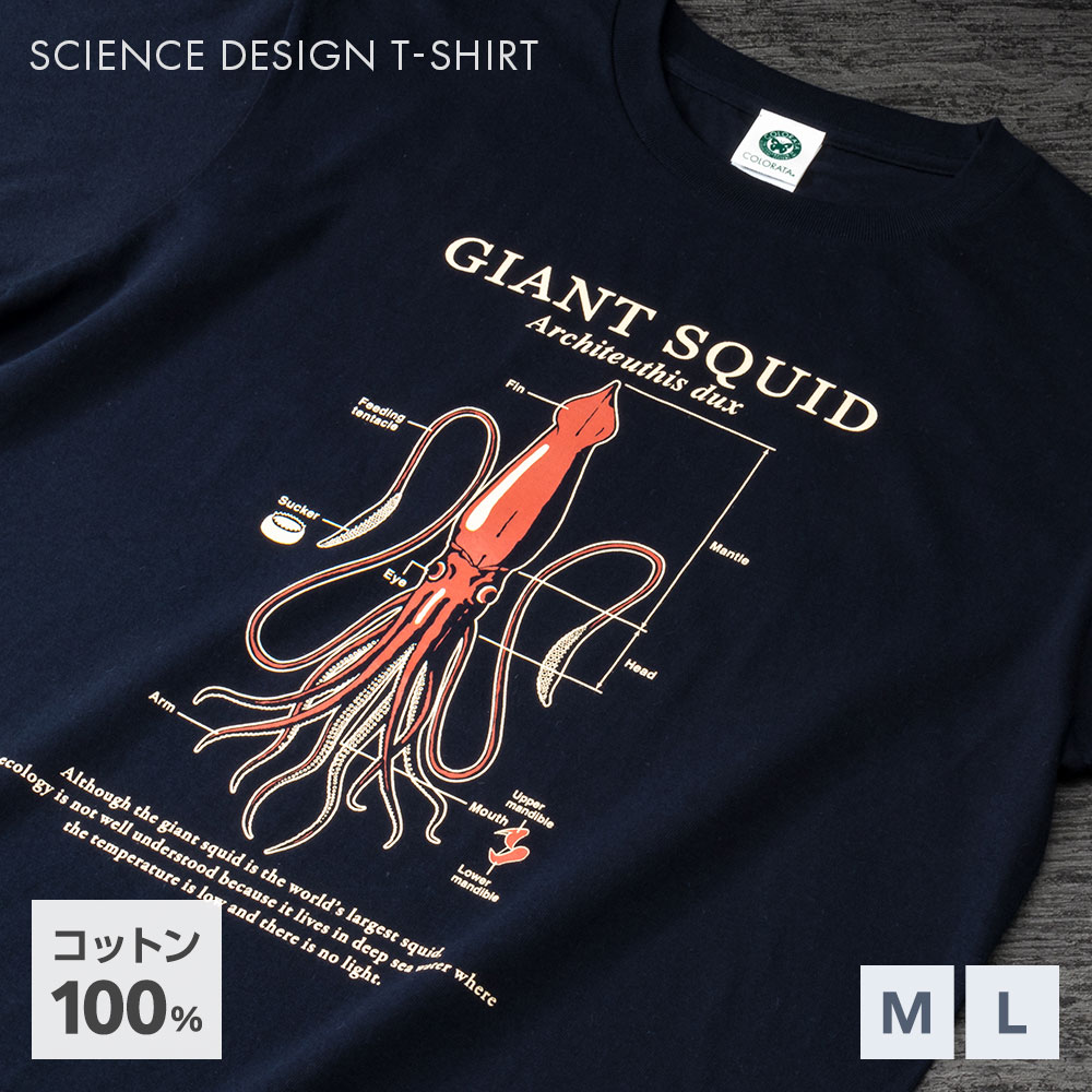 楽天市場】生物図譜Tシャツ 深海の世界 ネイビー | 半袖 イラスト