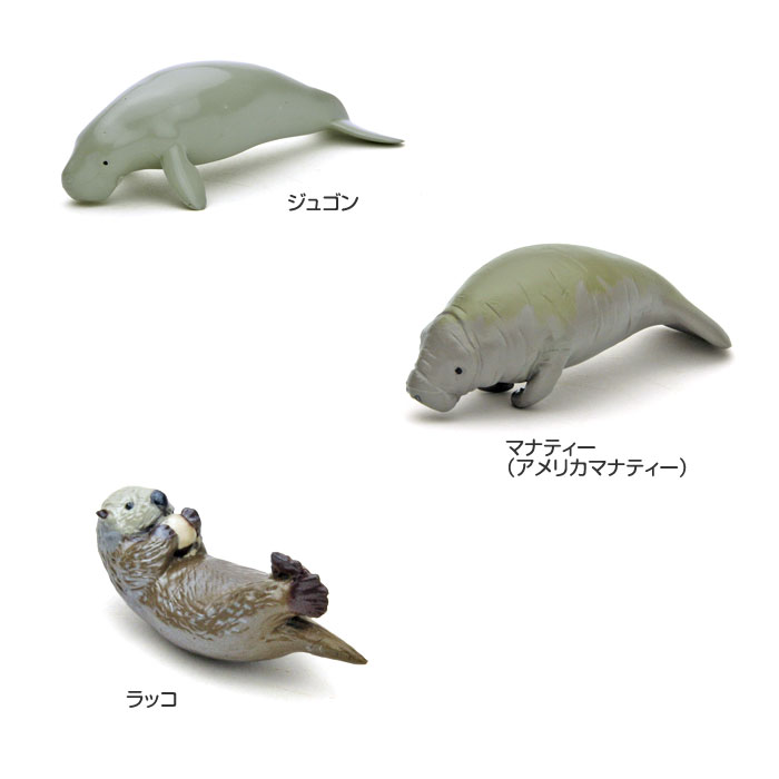 水生生物　フィギュア 動物 リアル フィギュア 立体図鑑 マリンママルボックス 13種13