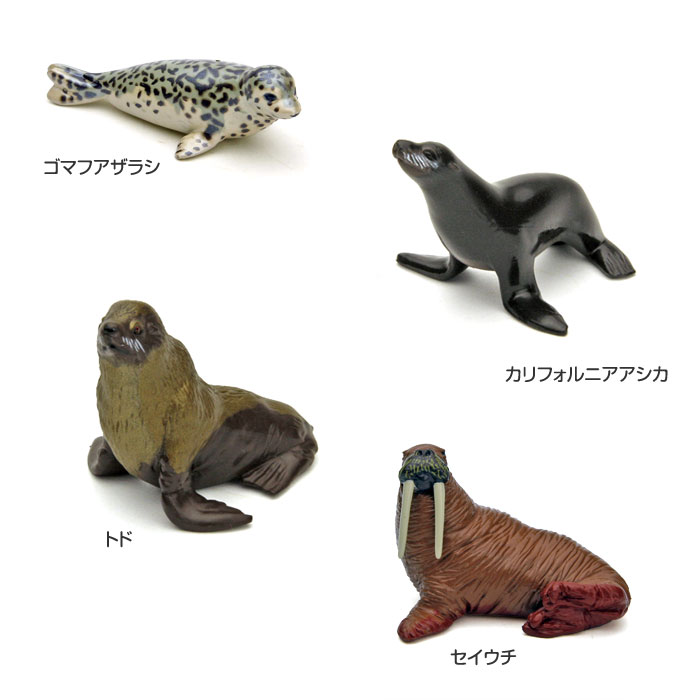 動物 リアル フィギュア 立体図鑑 マリンママルボックス 13種13