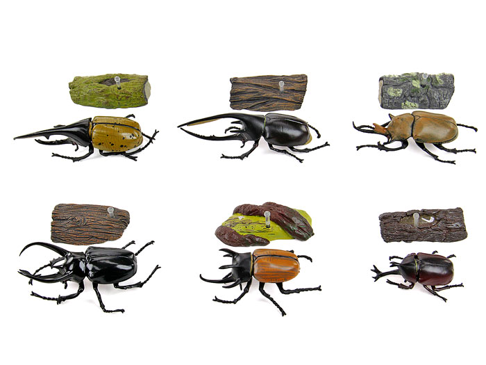 昆虫 カブトムシ リアル フィギュア 立体図鑑ライナセラスビートル