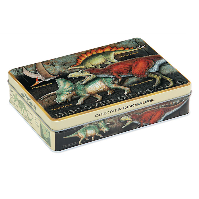 ダイナソー　チョコレートの空き箱 恐竜チョコ 10個入 ダイナソー チョコレート | ギフト お返し 菓子 お