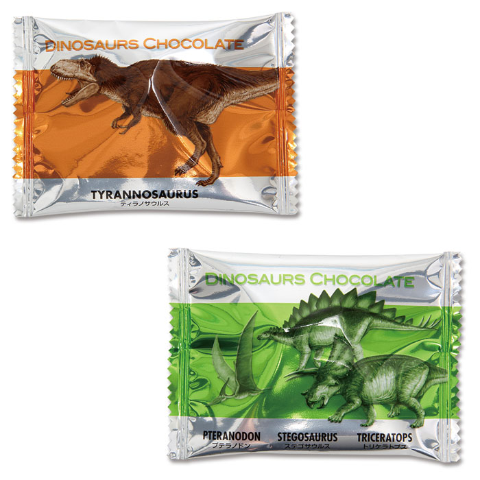 ダイナソー　チョコレートの空き箱 恐竜チョコ 10個入 ダイナソー チョコレート | ギフト お返し 菓子 お