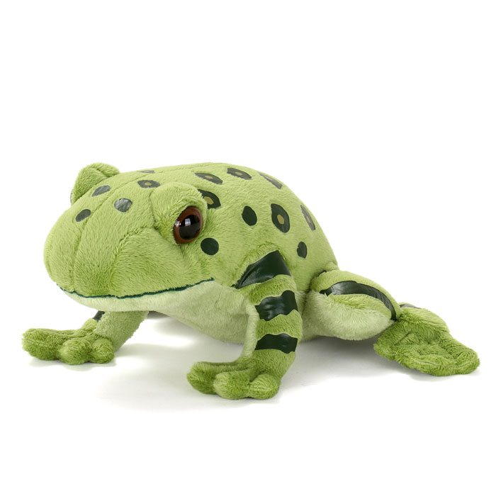 楽天市場】【TST Frog magnet マルメタピオカガエル マグネット