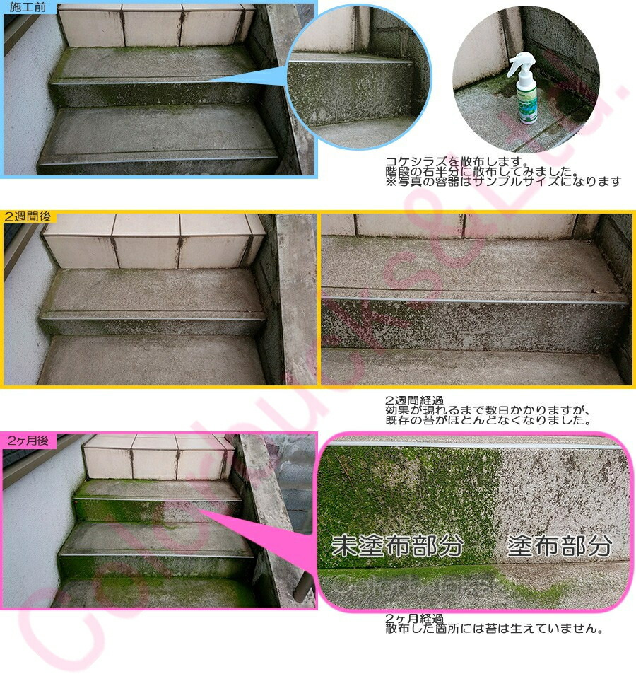 コケシラズ l l ミヤキ Miyaki 苔の排斥 頸木剤 吹き付ける類型表料苔の除去先生要素がコケ 藻を利き図星に除去 除去遣らかすだけでなく コケ 藻の膨脹を抑制 水洗する ブラシは不可欠ありません スプレーするだけの質樸施工 Cannes Encheres Com