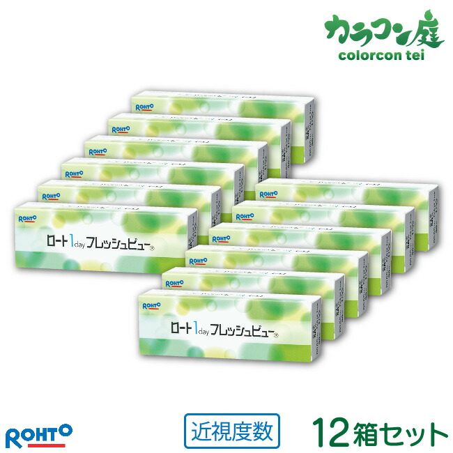 人気ショップが最安値挑戦 最大00円クーポン ロート ワンデーフレッシュビュー 12箱セット 1箱30枚入り 両眼約6ヶ月分 ロート製薬 1日使い捨て コンタクト Rohto 1day 高含水率 ワンデー フレッシュビュー 在庫処分セール Toscelikspecialsteel Com