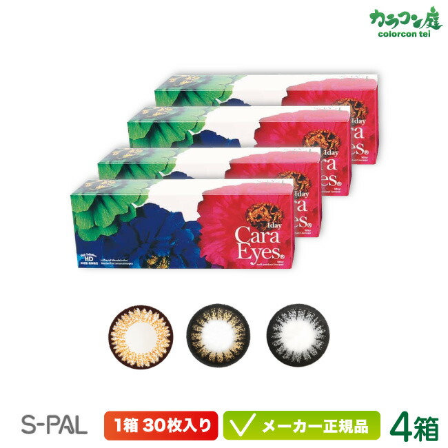 ワンデーキャラアイ 4箱セット