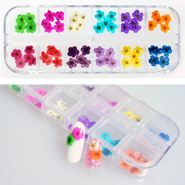 楽天市場】Cカーブスティック6サイズセット スカルプチャー アクリル