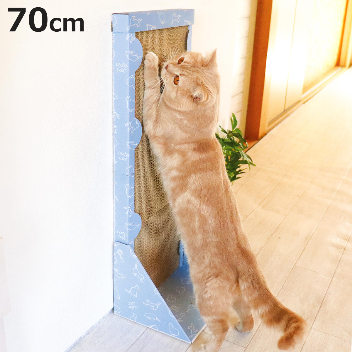 1点物！猫ひたくん羊毛フェルト限定品ねこのひたいほどワイド猫ひた猫 本物のおヒゲや被毛も使用！猫飼いさんにオンリーワンの\u201c愛猫作品\u201dを