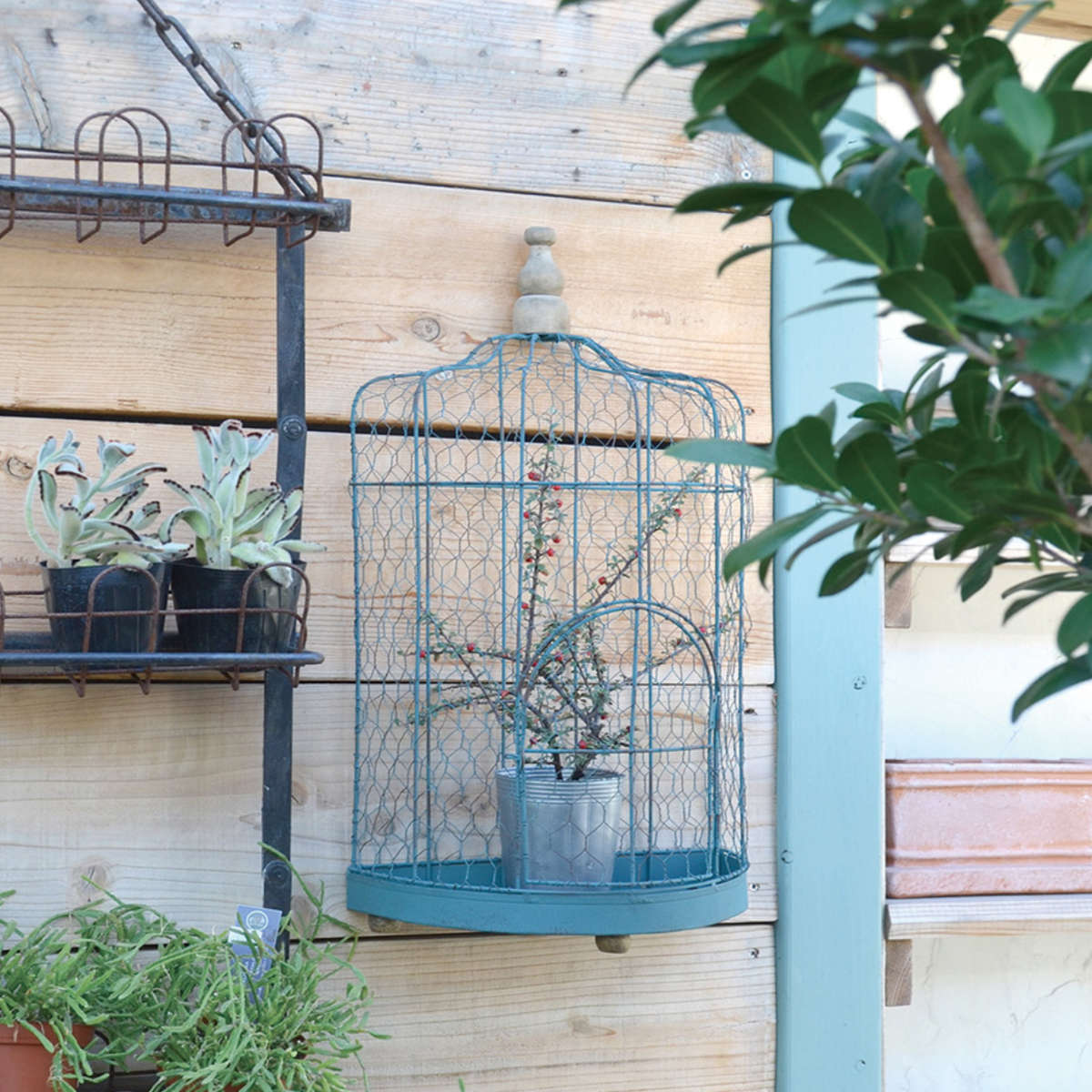 フラワーケージ プランター 鉢入れ 鳥かご ブルーハーフフラワーケージ ガーデニング用品 送料無料 インテリア フラワー 花 植木鉢 ケージ 植木鉢 スタンド 壁掛け スタンド プランタースタンド 鳥カゴ デザイン おしゃれ 3980円以上送料無料 Shoesplaza Ge