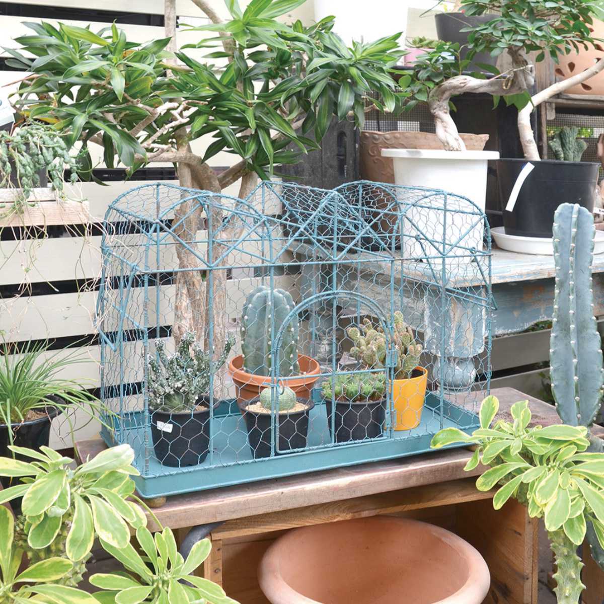 フラワーケージ プランター 鉢入れ 鳥かご ブルーハウスフラワーケージ ガーデニング用品 送料無料 インテリア フラワー 花 植木鉢 ケージ 植木鉢スタンド 置き型 スタンド プランタースタンド 鳥カゴ デザイン おしゃれ 3980円以上送料無料 Lindnercapital Com
