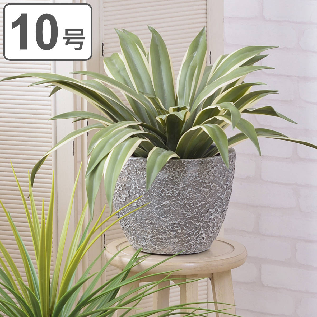 プランター グリーンベース 直径31×高さ25cm （ 植木鉢 プラントポット 植物用ポット 鉢 花器 鉢カバー ポット 丸 10号鉢 植木鉢カバー 鉢入れ 植物 花 観葉植物 植え替え 寄せ植え 株分け 園芸 インテリア おしゃれ ） 【3980円以上送料無料】