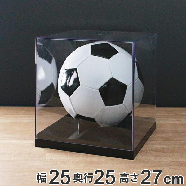楽天市場】サインボールケース/サッカーボールケース