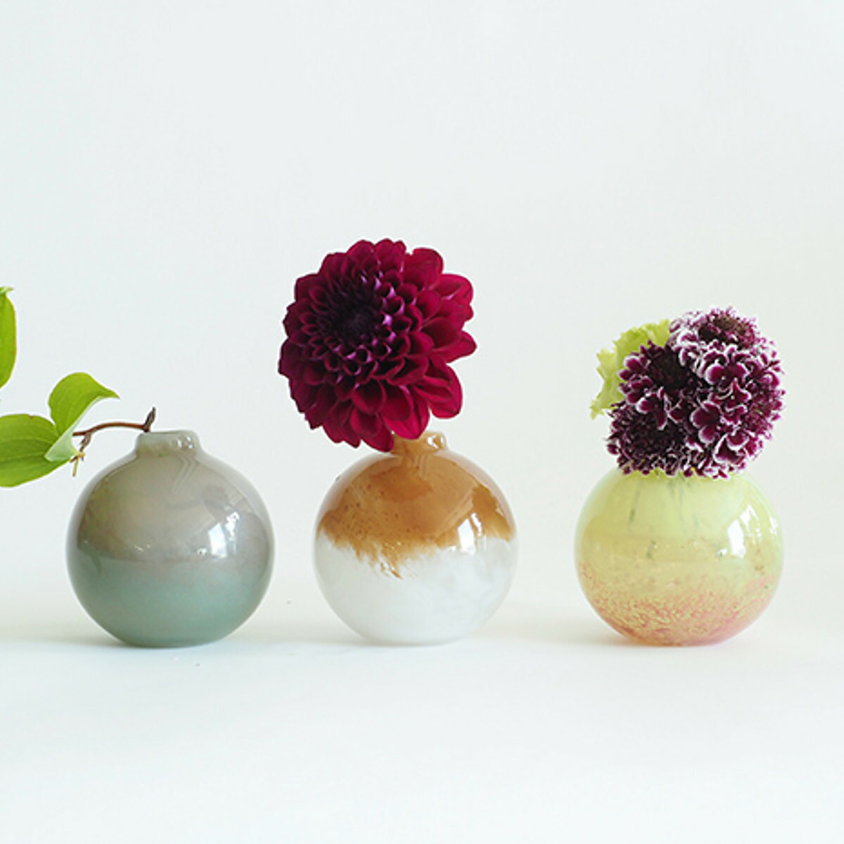 種類豊富な品揃え 花瓶 Dgポロベース 直径10 高さ10cm ガラス 花びん フラワーベース 花器 ガラス製 インテリア 雑貨 生花 ドライフラワー 植物 玄関 デスク 食卓 窓 おしゃれ フラワー ベース 花 お花 グラデーション Whalestale Com Fj