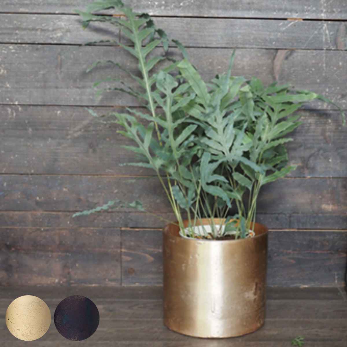 植木鉢 AMシリンダーポット 直径24.5×高さ22cm （ 送料無料 プランター プラントポット 植物用ポット 花器 鉢カバー ポット 花瓶 花びん 丸 円柱 シリンダー 植木鉢カバー 植物 花 観葉植物 ドライフラワー 金属 アルミ ） 【3980円以上送料無料】