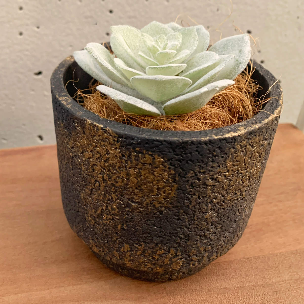 楽天市場】植木鉢 ノワオール ラウンドポット （ 植木 鉢 ポット