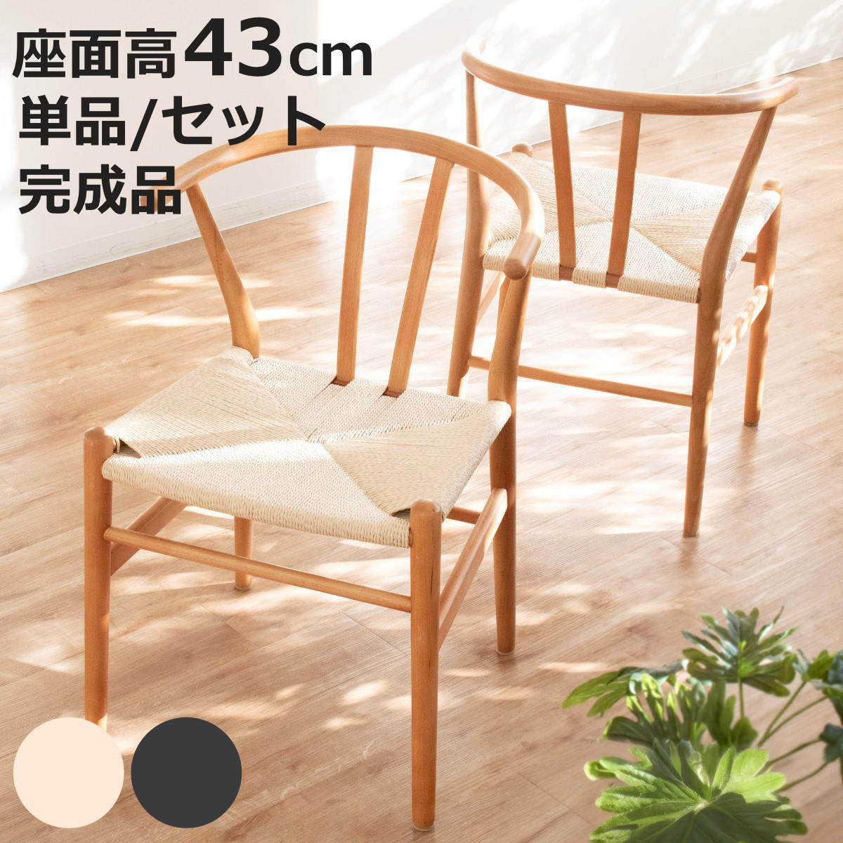 お弁当箱の選び方