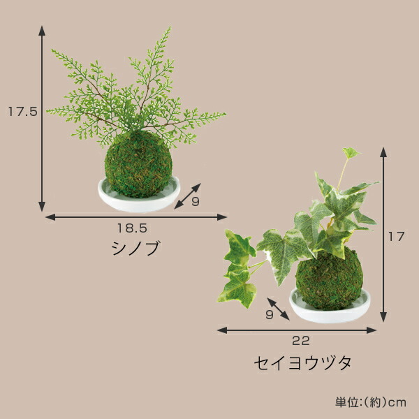 魅力的な 人工観葉植物 WA BONSAI ARTIFICIAL GREEN 造花 フェイクグリーン 植物 盆栽 苔 苔玉 人工 フェイク 観葉植物  インテリア リアル 消臭 抗菌 ミニ盆栽 インテリアグリーン インテリア雑貨 小物 newschoolhistories.org