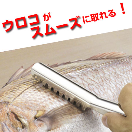 【楽天市場】うろこ取り 魚の鱗とり ステンレス製 ( ウロコ取り 鱗取り キッチンツール 調理器具 ) 【3980円以上送料無料】:お弁当 ...