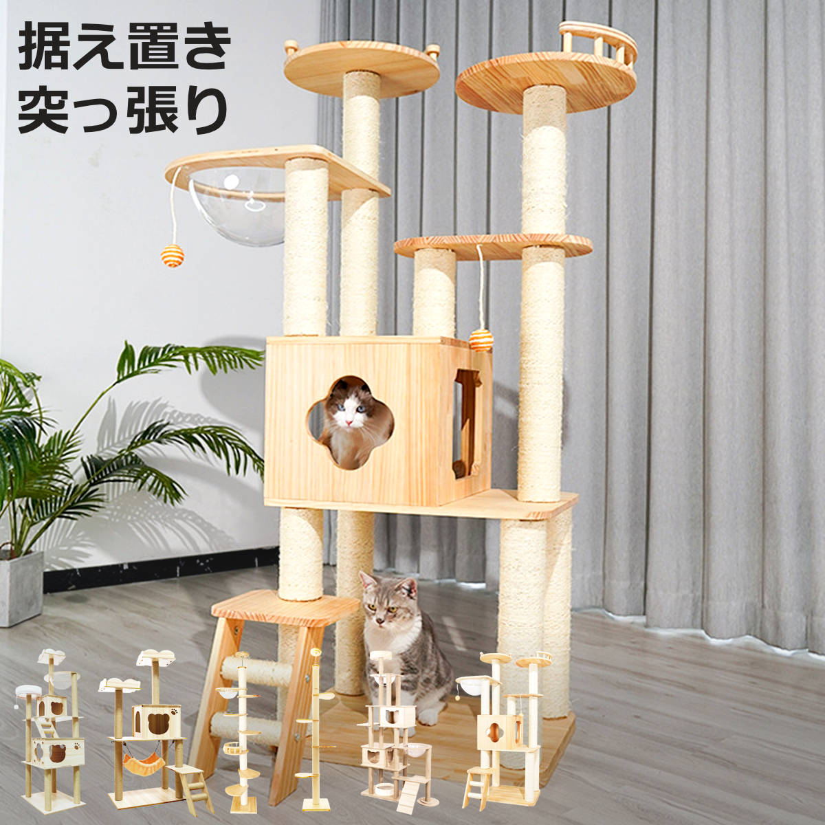 キャットタワー ねこぞく 木製 据え置き 突っ張り ( キャットツリー 猫タワー 爪とぎ キャットハウス おしゃれ 天然木 つっぱり 省スペース 猫 ねこ 猫用品 運動不足 ストレス解消 キャットウォーク ペット用品 )【3980円以上送料無料】|お弁当グッズのカラフルボックス