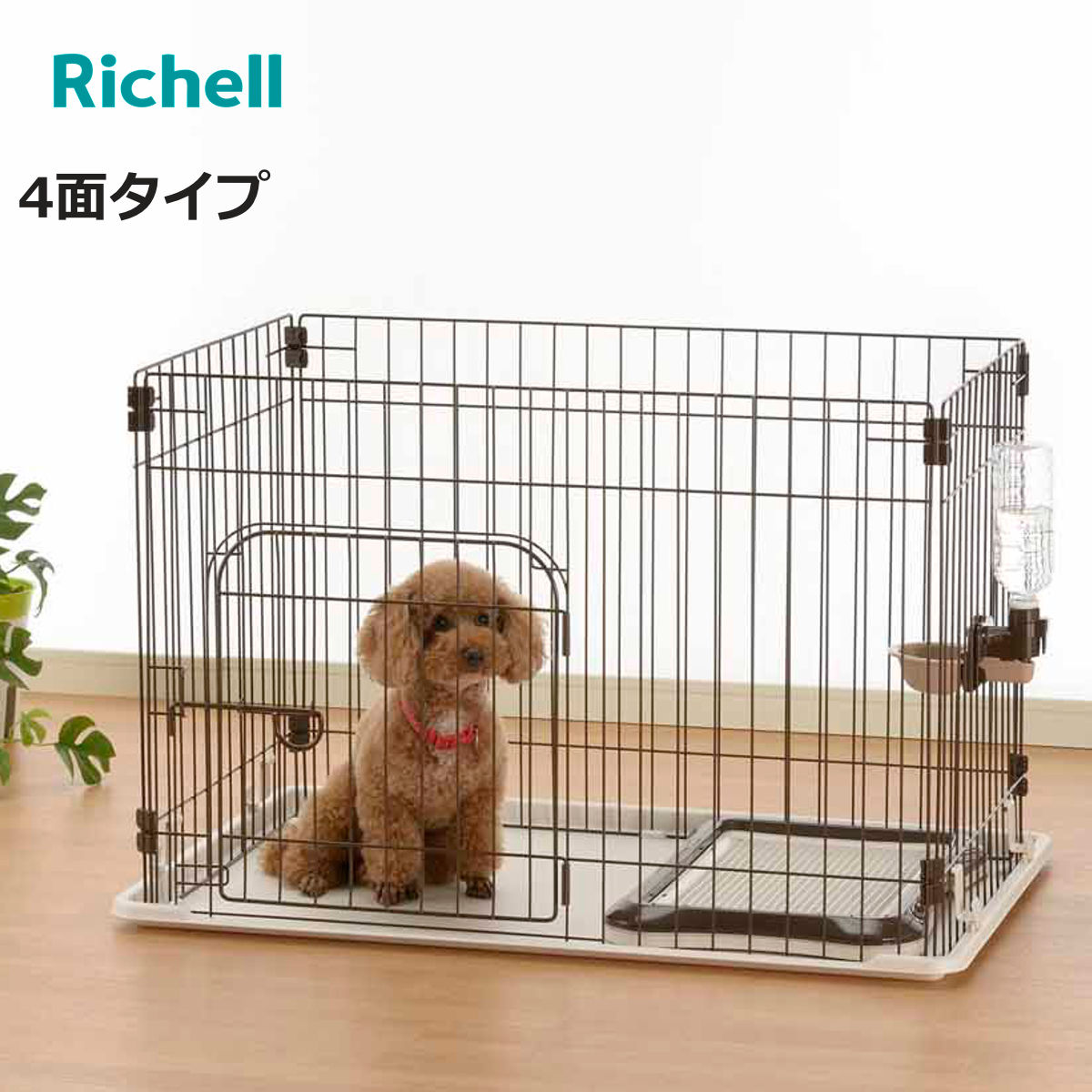 お弁当箱の選び方