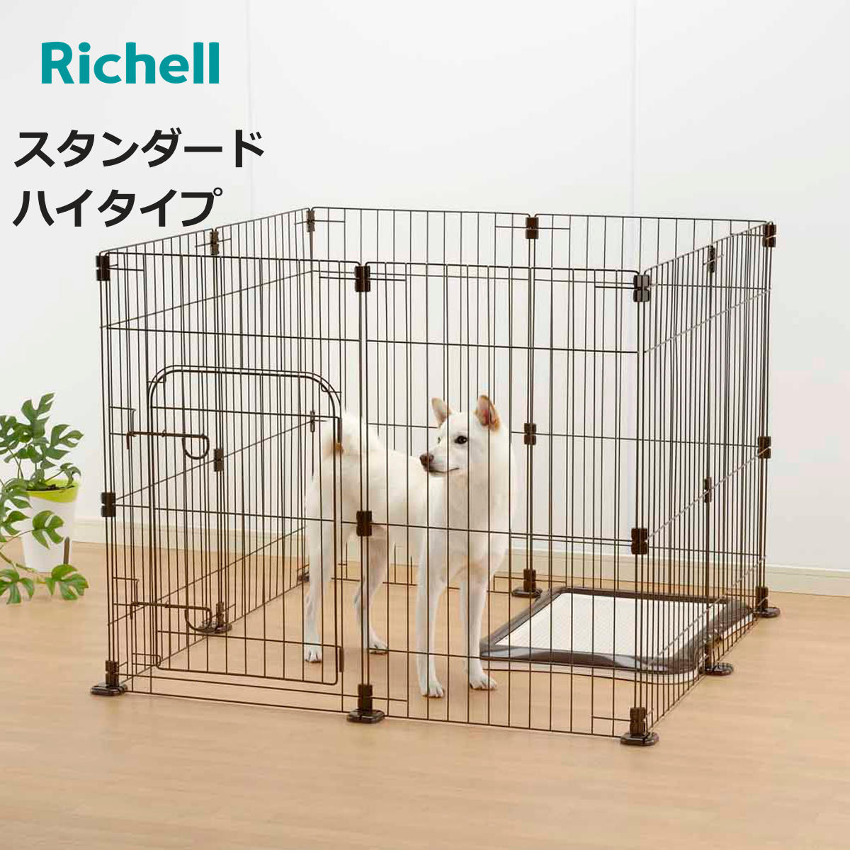 お弁当箱の選び方