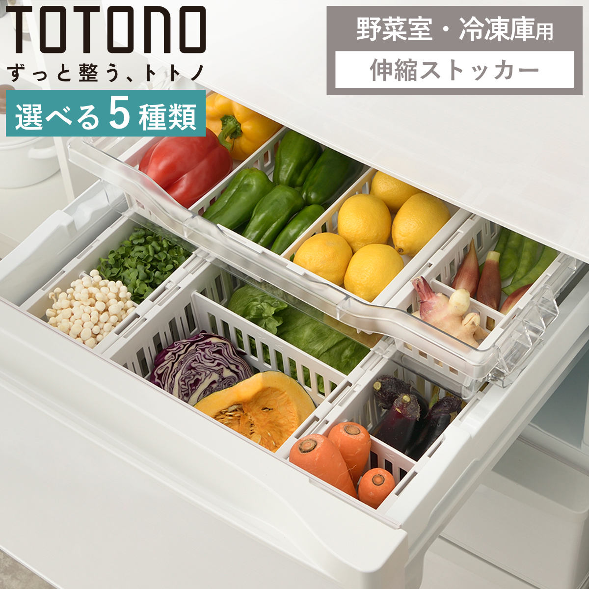 冷蔵庫収納 トトノ 野菜・冷凍庫 伸縮ストッカー （ 浅型 深型 スリム レギュラー 伸縮 冷凍庫収納 冷蔵庫 冷凍庫 冷凍庫スタンド 冷蔵庫スタンド 野菜室 収納 収納ケース 収納ストッカー 冷凍室 冷凍食品 野菜 仕切り ）【3980円以上送料無料】