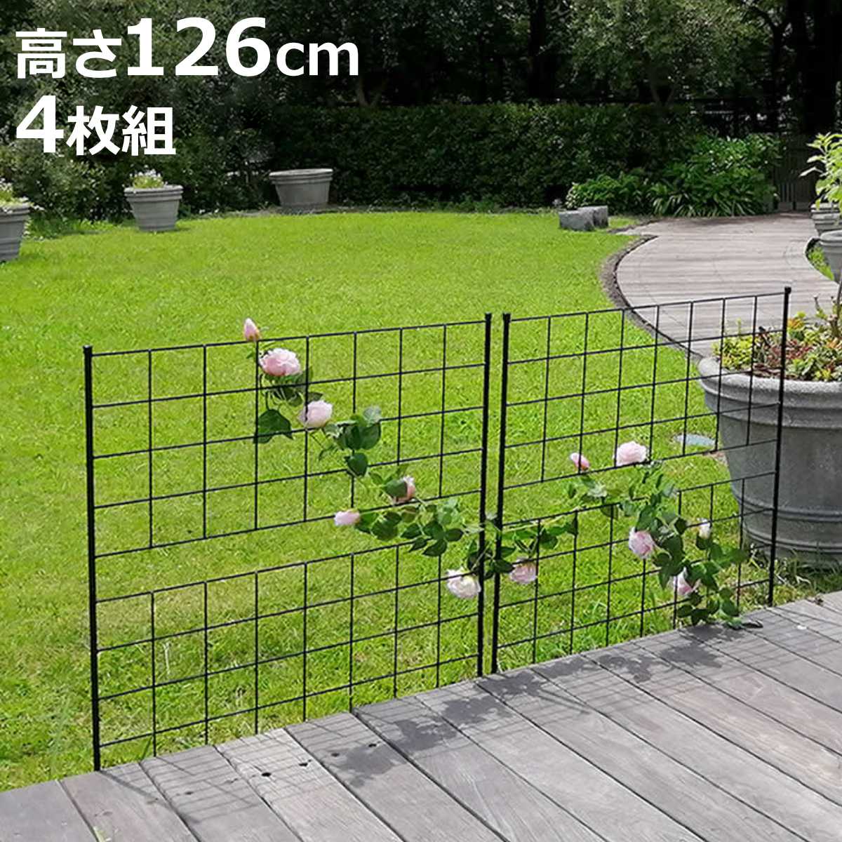 お弁当箱の選び方