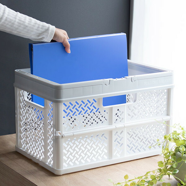 保管ブース 射程46 奥ぶかさ31 分量さ28cm 折りたたみ カゴ バスケット L 10個凝固 送料無料 プラスチック 収納容れ物 容物 コンパクト 収納 持ち手差し添え コンテナボックス 積み重ね スタッ王様 B4大いさ アウトドア 3980巡回以上送料無料 Restaurant Valentino De