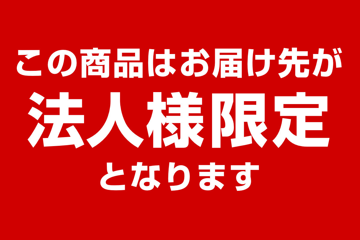 玄関マット屋内業務用150×210cmラインアートマットオフィスサイズオーダー