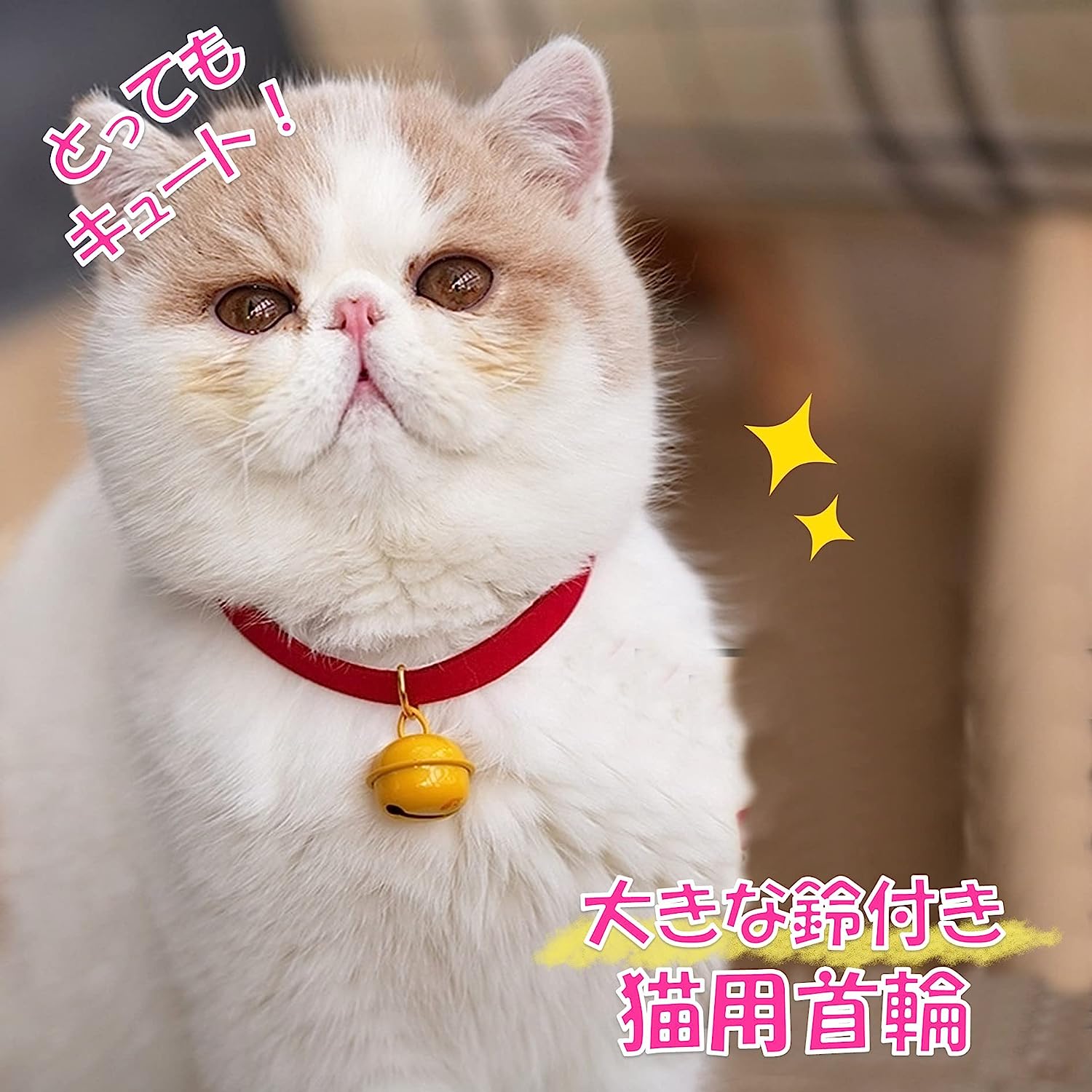 ネコ好きさんポイント無し　2000p使用 Amazon | おもしろ 猫好き 猫飼い 猫 ネコ ねこ 黒猫 くろねこ