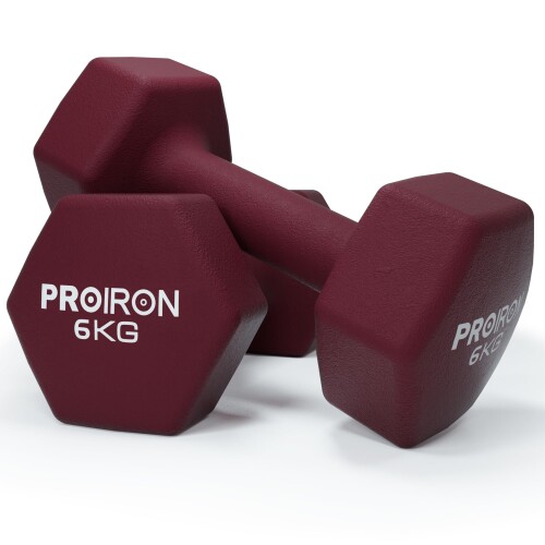 PROIRON 10kg ダンベル 2個セット 楽天市場】PROIRON ダンベル 鉄アレイ 2個セット 10kg ダンベル