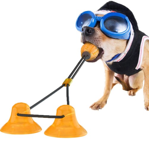 楽天市場】【送料無料】Canplus 犬 噛むおもちゃ 犬のおもちゃの