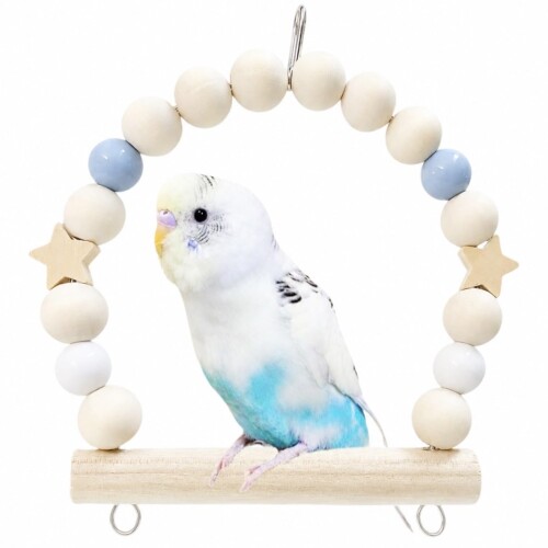 仲良しインコのブランコ時間 うちの子シーグラスアート 小鳥 セキセイ