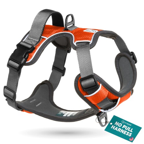 Embark Pets（エンバークペット）犬用馬具 冒険馬具 オレンジ色 S大いさ