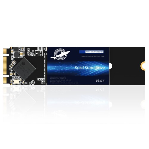 Dogfish M.2 SATA SSD 2280 4結核症 NGFF 3D NAND TLC 高性能内蔵 SSD 最大限度読み込む560MB/s, マイコン、万覚え帳マイコンに当てはめる, 含む 128GB 256GB 512GB 1結核症 2結核症 4結核症