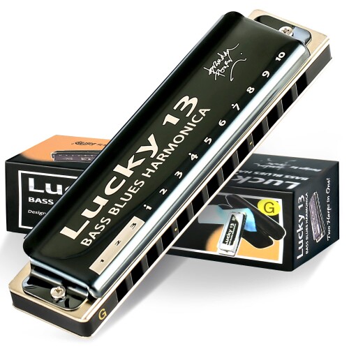 East top ハーモニカ ブルースハーモニカ 13ホール G? ジャズ専門家 大人用 子供用 勉強 練習用 真鍮カバー キャンバスケース Lucky13 (Richter-G)